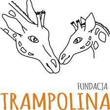 Tworzenie modeli biznesowych w organizacji pozarządowej - doradztwo dla Fundacji Trampolina